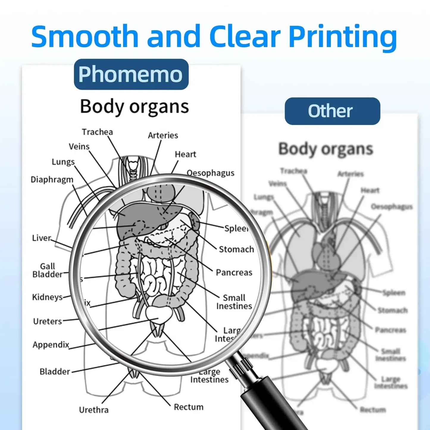 Phomemo M08F Impressora Térmica Portátil + Papel Térmico 50/80/110mm A4 Secagem Rápida - Compatível com M832/M834/M835 - Ideal para Estudo e Trabalho